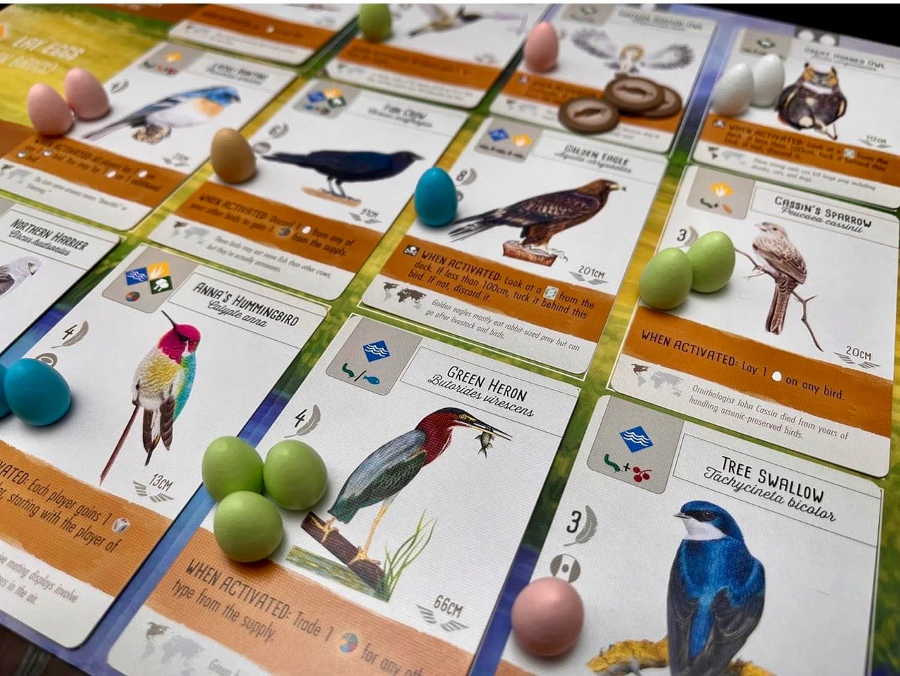 Wingspan - Board Game - Jnstoys
