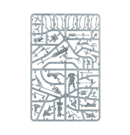 Warhammer: Age of Sigmar - Cities of Sigmar: Freeguild Fusiliers
