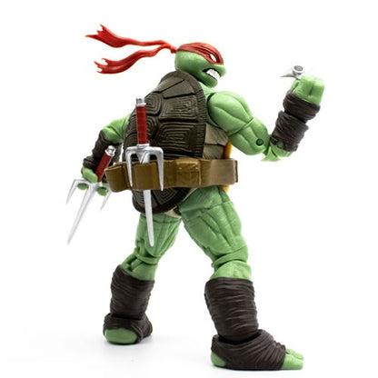 IDW Comic's Teenage Mutant Ninja Turtles Heroes Raphael Action Figure