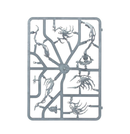 Warhammer: Age of Sigmar Nighthaunt - Spirit Host