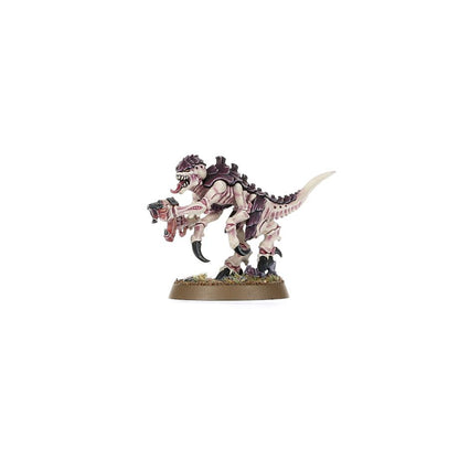 Warhammer 40k: Introductory Set