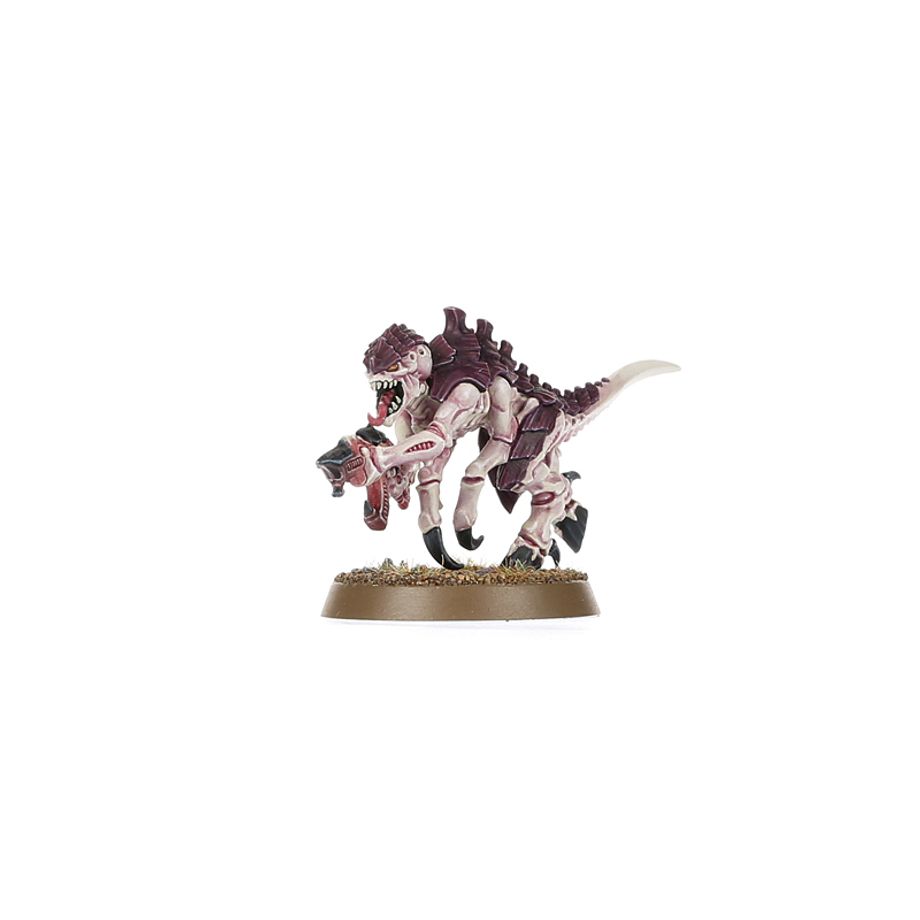 Warhammer 40k: Introductory Set