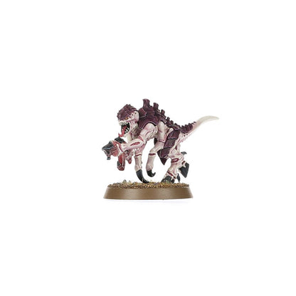 Warhammer 40k: Introductory Set